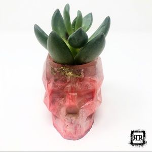 SOLD ON ETSY♥️Red Rose Quartz & Gold Vessel